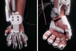 Foto's exoskelet