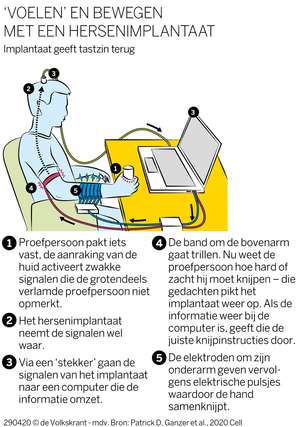 Afbeelding die werking toont